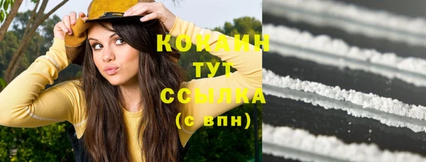 соль ск Алзамай