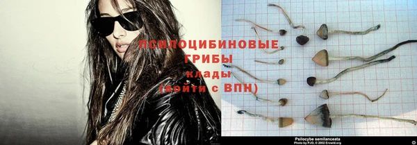 стаф Абинск