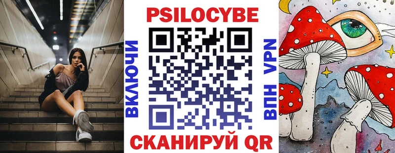где можно купить наркотик  Новоуральск  Галлюциногенные грибы Psilocybine cubensis 